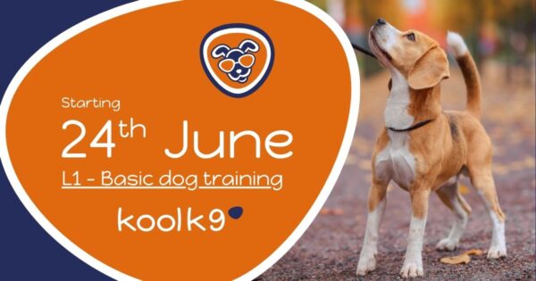 L1 24 June Level 1 Class