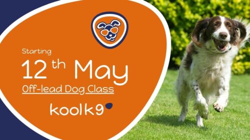 Off-lead Dog Class