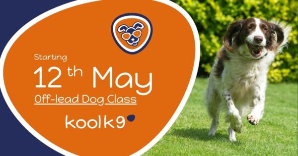 Off lead May 12 Off-lead Dog Class